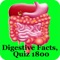 Digestive Facts & Quiz 1800