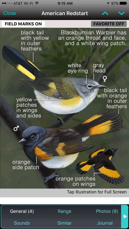 iBird Lite Guide to Birds