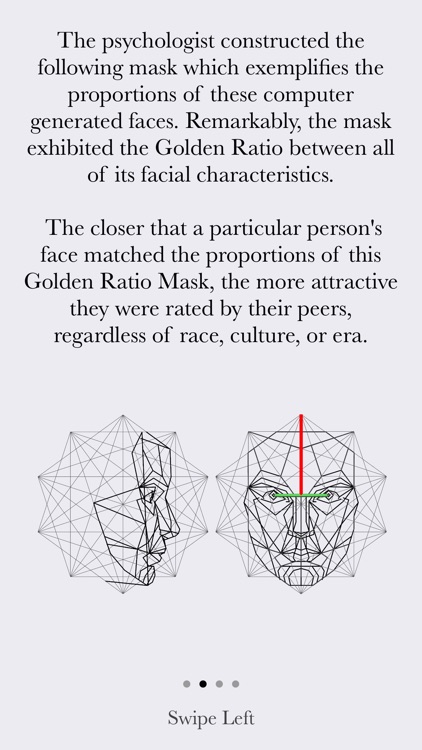 The Mathematics Of Attraction screenshot-3