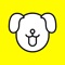Dogenses - Dog Face Lenses App