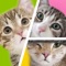 Cute cat puzzle game