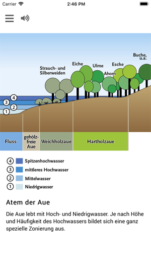 Draußen im Fluss(圖3)-速報App