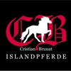 CB - Islandpferde