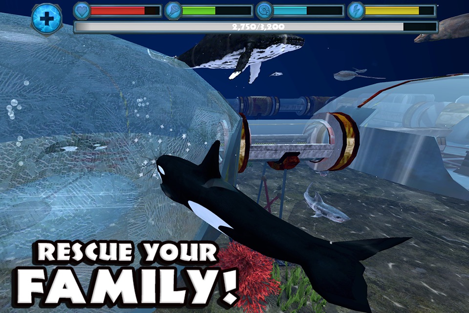 Orca Simulator screenshot 4