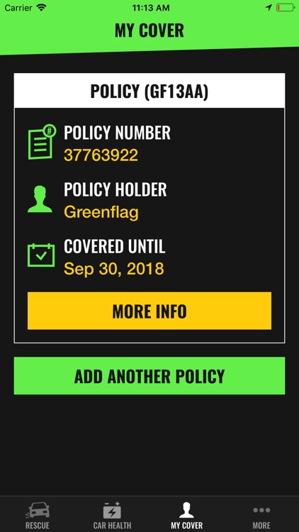 Green Flag screenshot-3