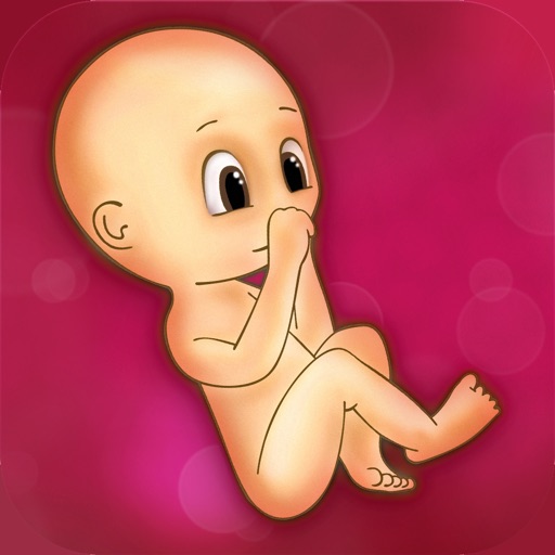 The Miracle of Life icon