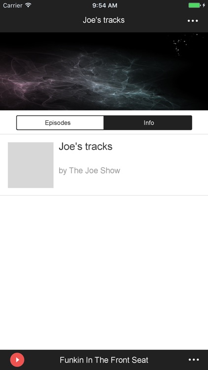 The Joe Show