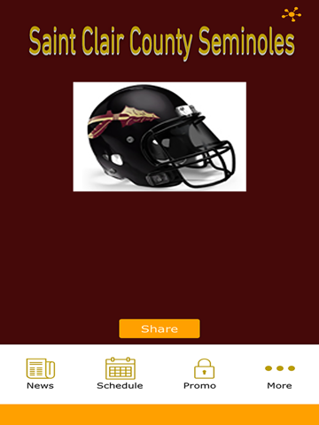 Скриншот из SCS Seminoles