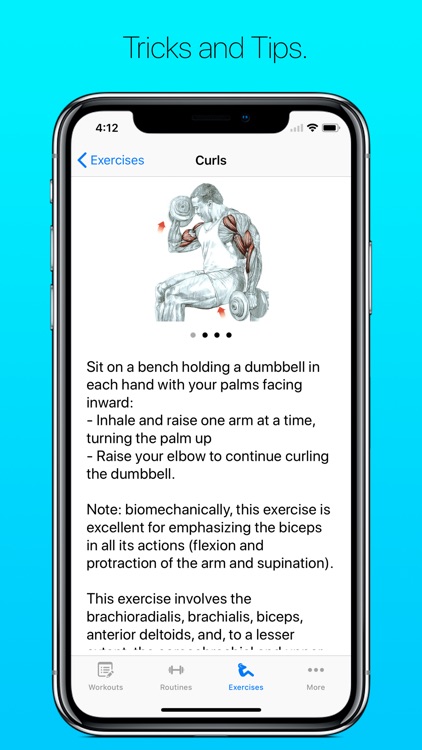RexFit
