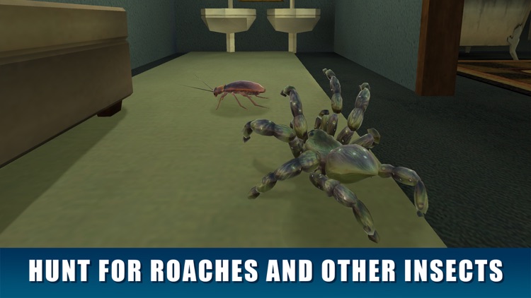 House Spider Survival Simulator 3D