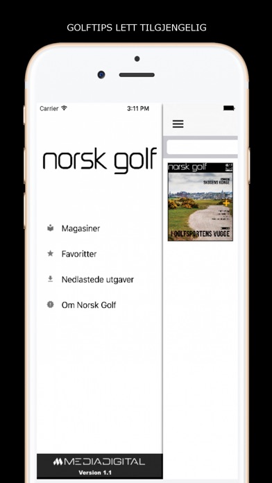 norskgolf screenshot 2