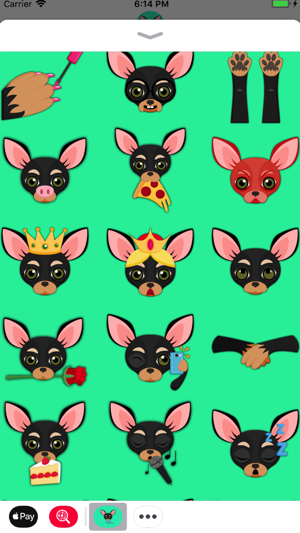 Black Tan Chihuahua(圖4)-速報App