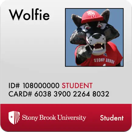 Stony Brook Campus Card Читы
