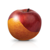 no app image