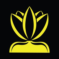 Lotus Gestion des Médias Avis