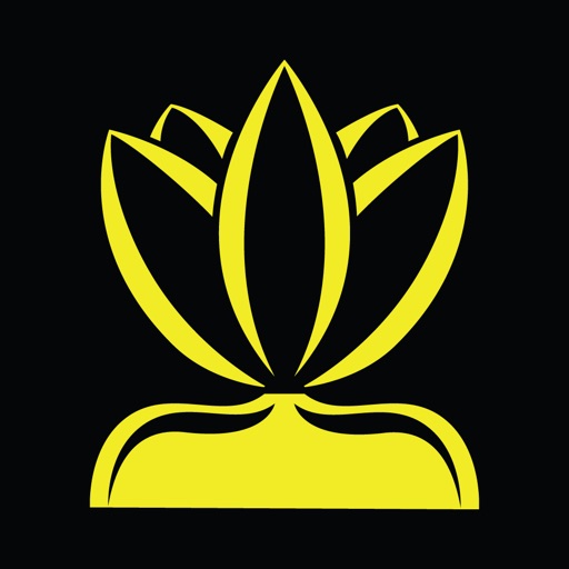 Lotus - Social Media Suite Icon
