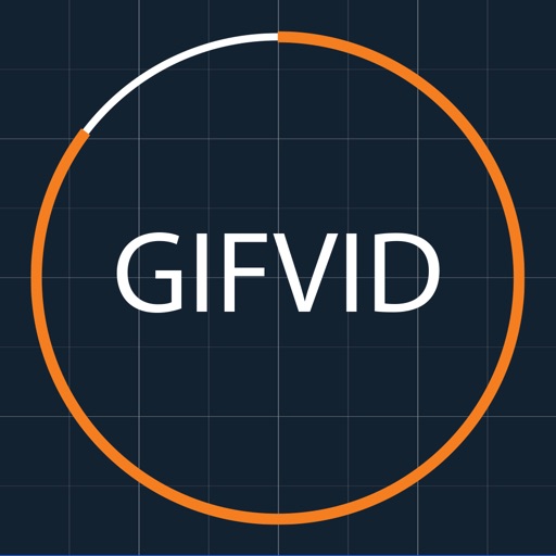 GifVid - GIF to Video Converter