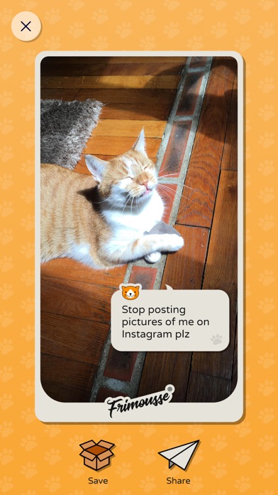Frimousse - talk to your cat screenshot 4