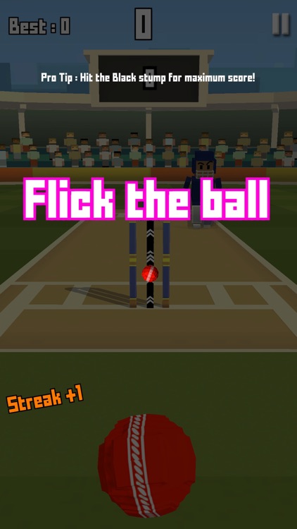 Runout Master - 3D Cricket