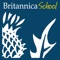 Wrapper for Britannica which ensures safety on the internet for children from Pre-K and up and peace of mind for teachers and parents