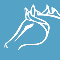 Poneys Club du Geer