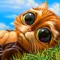 Solve the great match-3 puzzle with Indy Cat and help him get back the magical Ball of Fate