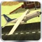 Fly your plane through all of the check points and land at your destination airport within the time limit