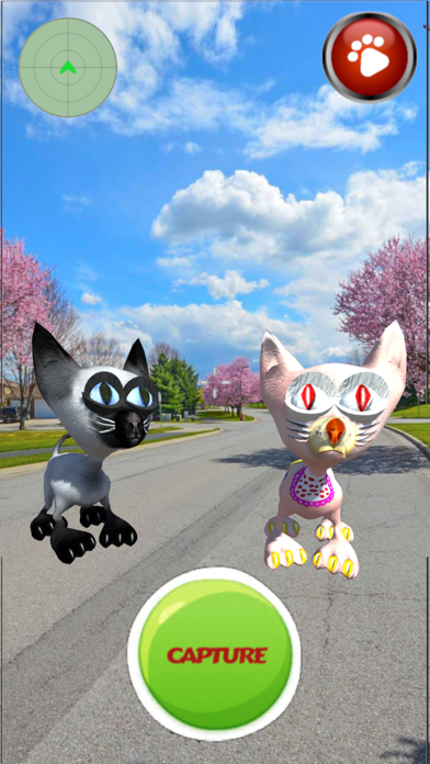 Tinny Lost Kittens: Catch Them screenshot 3