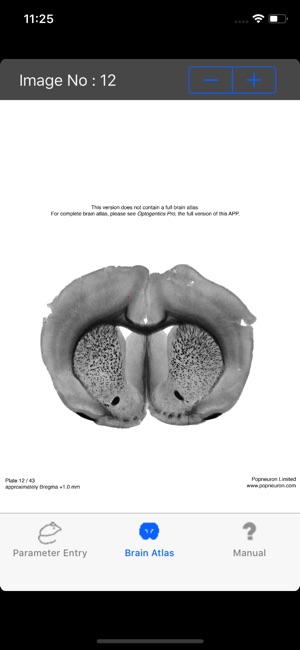 Optogenetics(圖1)-速報App