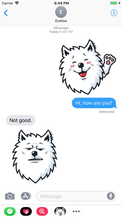 Samoyed Fram