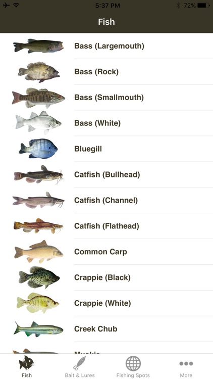 Freshwater Fish Chart