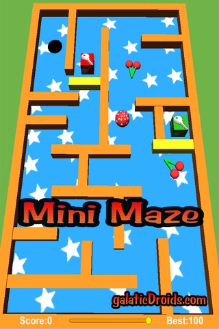 Mini Maze Pro - náhled