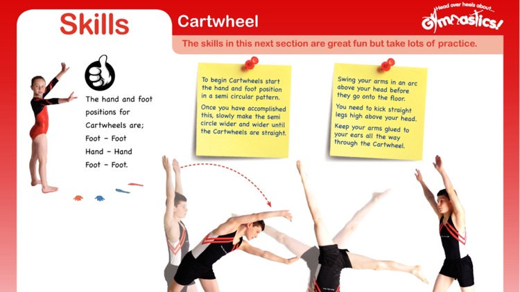 Head Over Heels About Gymnastics