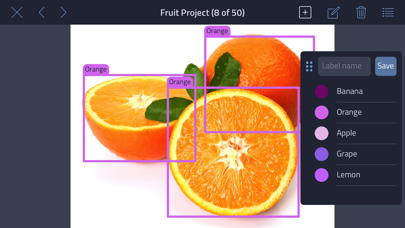 How to cancel & delete Labelocity - Image Annotation from iphone & ipad 1