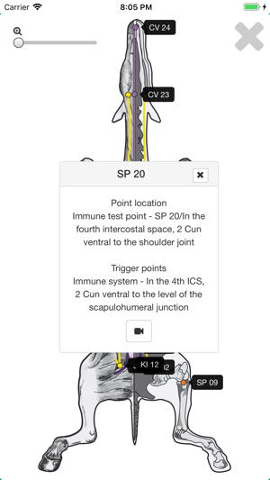 ACUPUNCTURE & LASER ON HORSES(圖7)-速報App