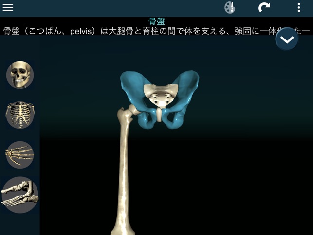 3d人骨 解剖学 をapp Storeで