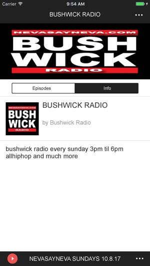 BUSHWICK RADIO(圖2)-速報App