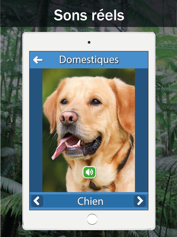 Screenshot #5 pour Sons d'animaux: Étude et jouer
