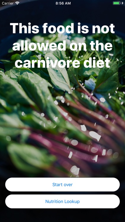 Carnivore Diet Guide