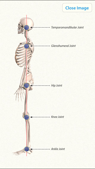 3D Yoga Anatomy Lite screenshot1