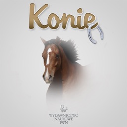 Konie rasowe - Horses