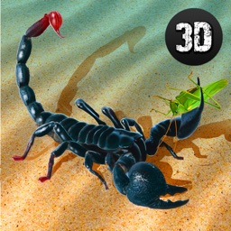 Wild Life of Poisonous Scorpion