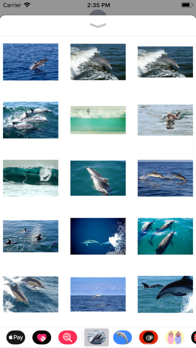 Wild Dolphin Sticker Pack screenshot 2