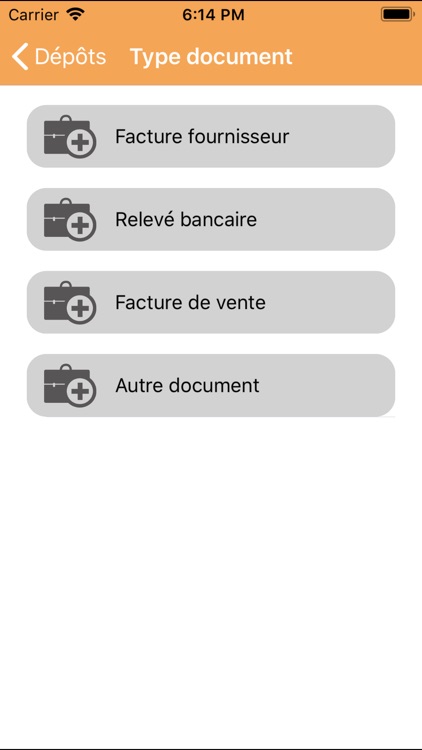 MyCompanyFiles screenshot-3