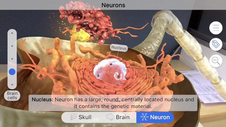 Brainapse screenshot-4