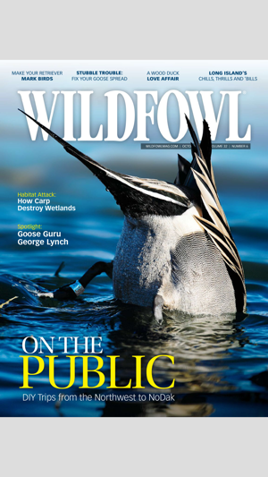 Wildfowl Magazine