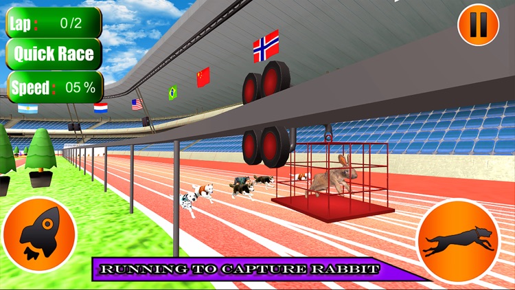 Dog Racer Simulation 2017 screenshot-4