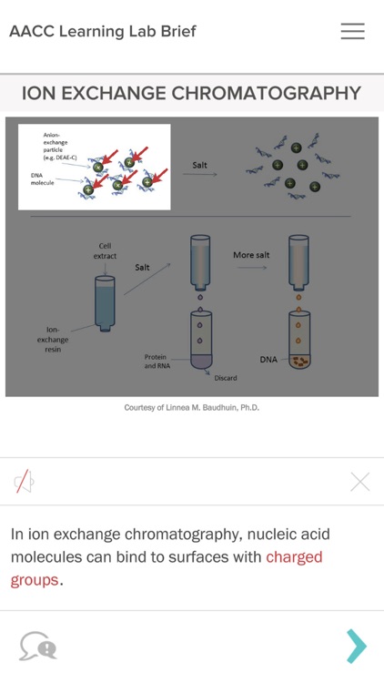 AACC Learning Lab Brief