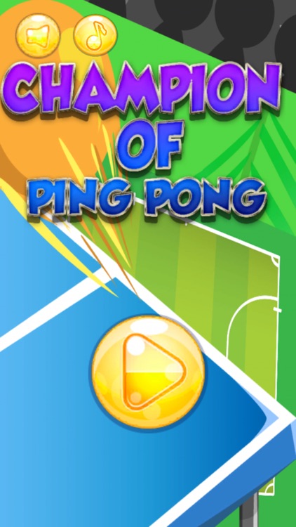 Champion Of Ping Pong