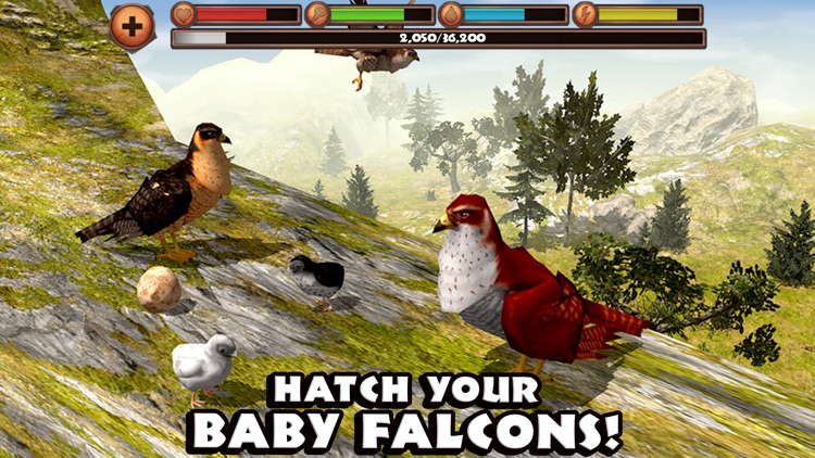 Falcon Simulator screenshot-4